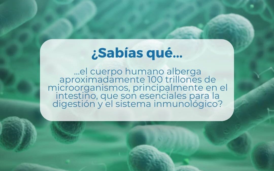 ¿Sabías qué…