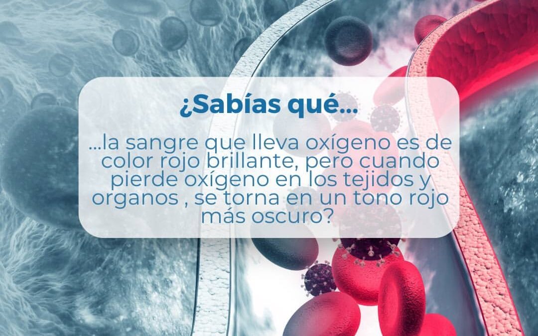 ¿Sabías qué…