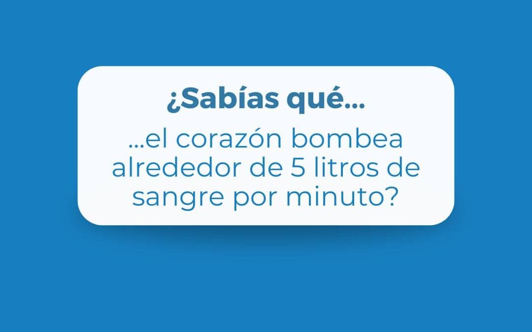 ¿Sabías qué…