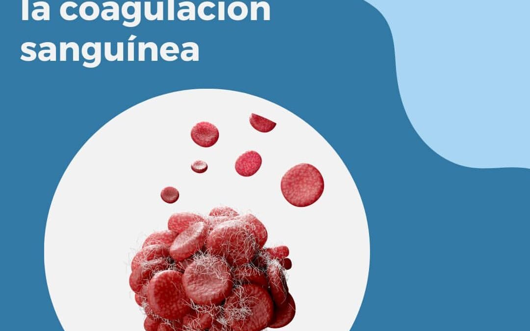 La coagulación sanguínea
